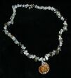 Ammonite, Labradorite, Rock Quartz Necklace #4541-1